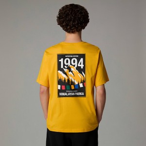 Camiseta The North Face Anniversary Hombre Dorados | NF0A26N1I