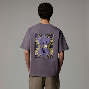 Camiseta The North Face City Graphic Hombre Grises | NF0A50N5R