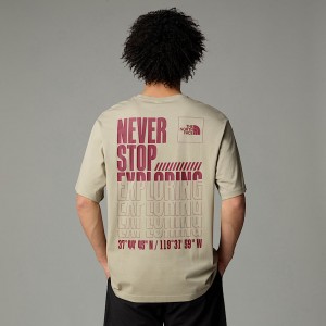 Camiseta The North Face Coordinates Hombre Grises | NF0A32V9G