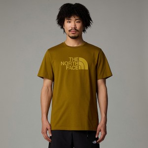 Camiseta The North Face Easy Hombre Verdes | NF0A37J1K