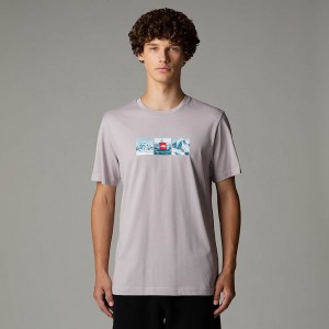 Camiseta The North Face Expedition System Graphic Hombre Grises | NF0A32B6Y