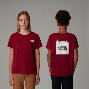 Camiseta The North Face France Redbox Niños Rojos | NF0A07F3L
