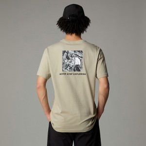 Camiseta The North Face Redbox Graphic Hombre Beige | NF0A69C0S