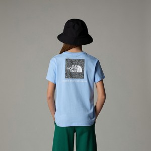 Camiseta The North Face Relaxed Redbox Niños Azules | NF0A29L9B