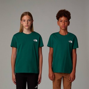 Camiseta The North Face Simple Dome Niños Verdes | NF0A77B1B