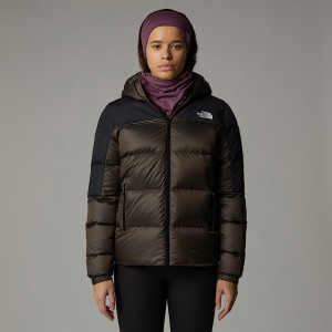 Chamarras The North Face Diablo Down 2.0 Hooded Mujer Marrom | NF0A51W7U