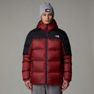 Chamarras The North Face Diablo Down 2.0 Hooded Hombre Rojos | NF0A21J8C