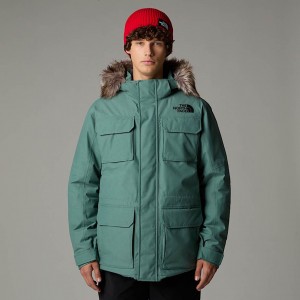 Chamarras The North Face El Norte Hombre Verde Oliva | NF0A51C0K
