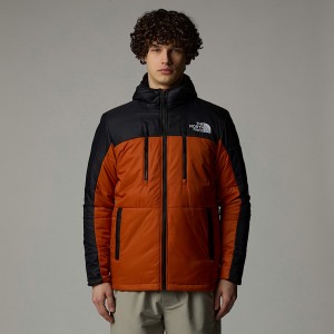 Chamarras The North Face Limbara Light Synthetic Hombre Cobra | NF0A41P3Q