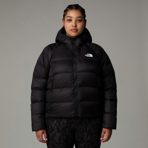 Chamarras The North Face Plus Size Hyalite Down Hooded Mujer Negros | NF0A08I8L