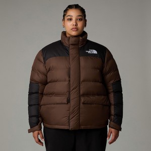 Chamarras The North Face Plus Size Limbara Insulated Mujer Marrom | NF0A79Q2J