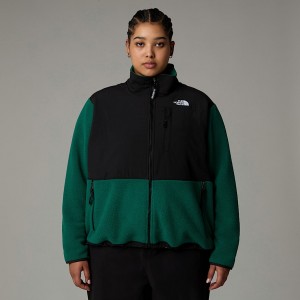 Chamarras The North Face Plus Size Retro Denali Mujer Verdes | NF0A93P5J
