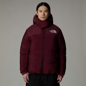 Chamarras The North Face RMST Himalayan Baltoro Convertible Hombre Morados | NF0A51C9U