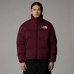 Chamarras The North Face RMST Nuptse Hombre Morados | NF0A57I4V