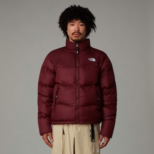 Chamarras The North Face Saikuru Hombre Morados | NF0A24Z4M