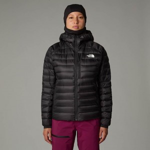 Chamarras The North Face Summit Breithorn Hooded Mujer Negros | NF0A16K8J