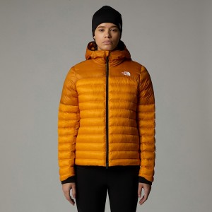 Chamarras The North Face Terra Peak Mujer Dorados | NF0A63K4D