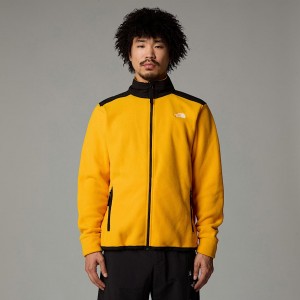 Chaquetas De Lana The North Face Alpine Polartec® 200 Hombre Dorados | NF0A84T6R