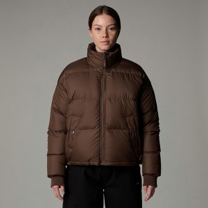 Chaquetas De Plumas The North Face Down Paralta Mujer Marrom | NF0A62C4F
