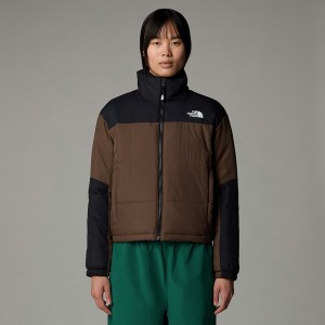 Chaquetas De Plumas The North Face Gosei Mujer Marrom | NF0A41W2Z