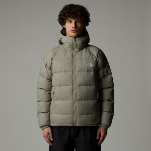 Chaquetas De Plumas The North Face Hydrenalite Hooded Hombre Grises | NF0A70E2A