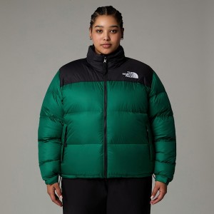 Chaquetas De Plumas The North Face Plus Size 1996 Retro Nuptse Mujer Verdes | NF0A41F6N