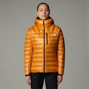 Chaquetas De Plumas The North Face Summit Breithorn Hooded Mujer Albaricoque | NF0A54W4X