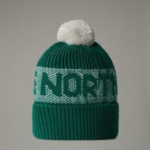 Gorro The North Face Retro Cabin Hombre Verdes | NF0A71A7U