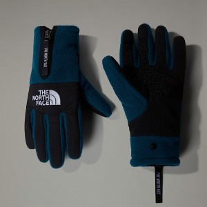 Guantes The North Face Denali Etip™ Hombre Azul Marino | NF0A59U7K