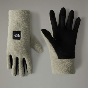 Guantes The North Face Fleeski Etip™ Hombre Grises | NF0A34S1S