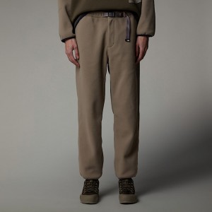 Pantalon The North Face Casual Fleece Hombre Beige | NF0A92W6W
