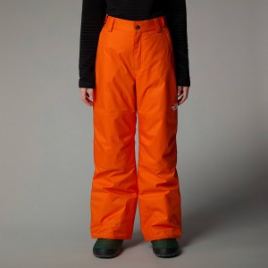 Pantalon The North Face Freedom Insulated Niños Naranjas | NF0A75I1L