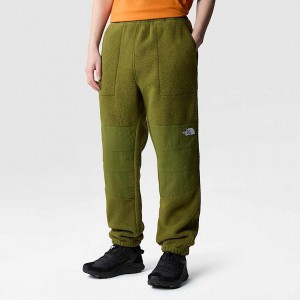 Pantalon The North Face Ripstop Denali Hombre Verdes | NF0A49L4Q