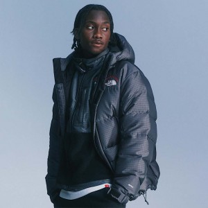 Parka The North Face 30th Anniversary Himalayan Hombre Grises | NF0A96H6W