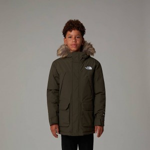 Parka The North Face McMurdo Niños Verdes | NF0A45Z3E