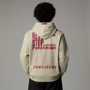 Sudadera con Capucha The North Face Coordinates Hombre Grises | NF0A61D4N