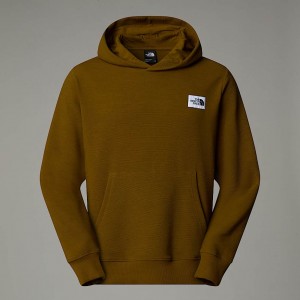 Sudadera con Capucha The North Face Hoden Hombre Marrom | NF0A77L7C