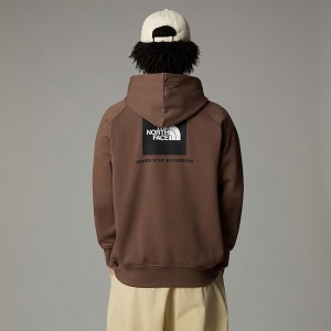 Sudadera con Capucha The North Face Raglan Redbox Hombre Marrom | NF0A61G6B