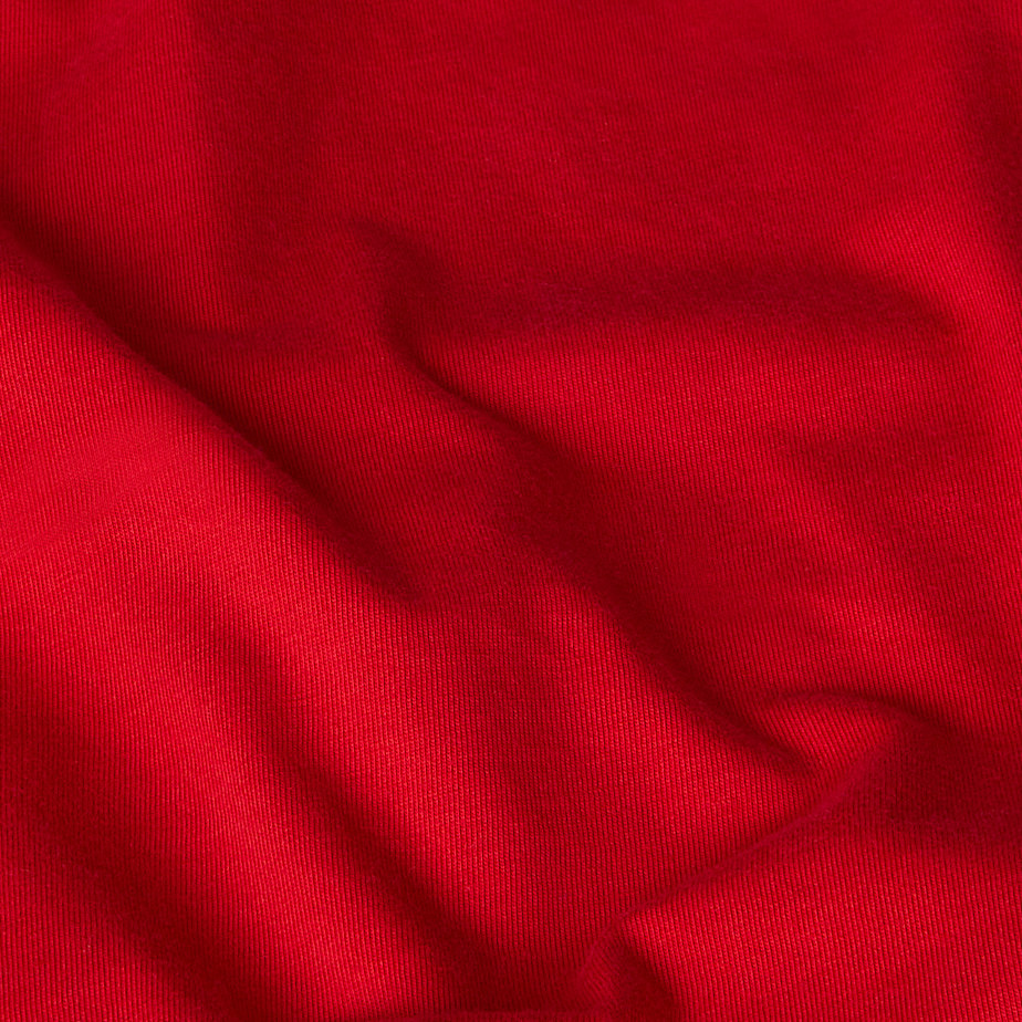 Camiseta The North Face Anniversary Long-Sleeve Hombre Rojos | NF0A82F1V