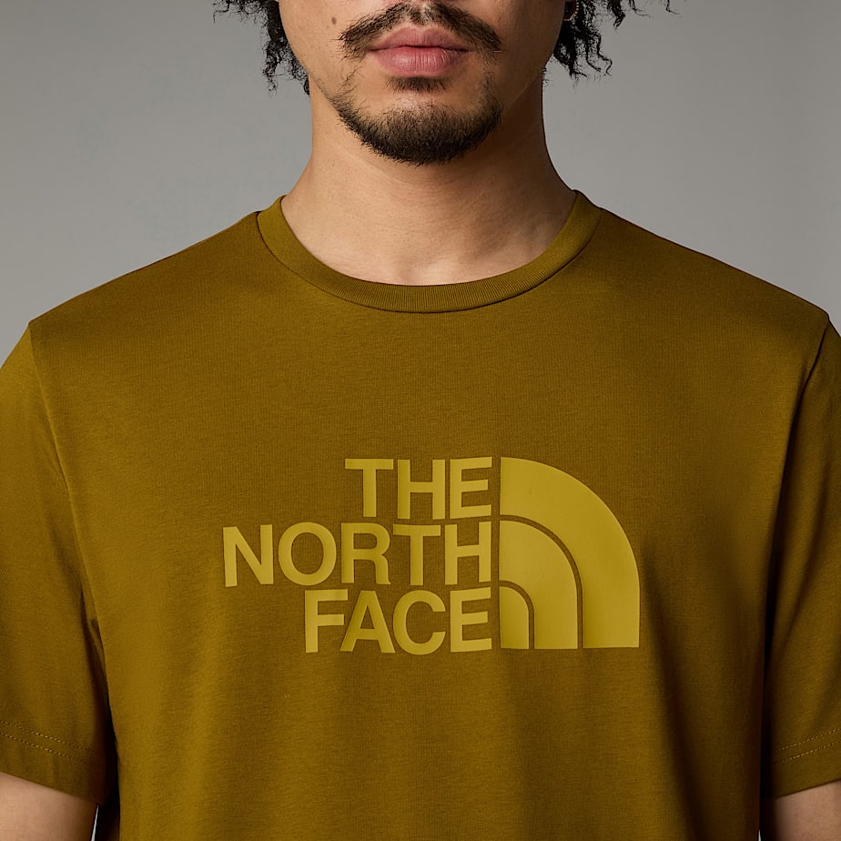 Camiseta The North Face Easy Hombre Verdes | NF0A37J1K