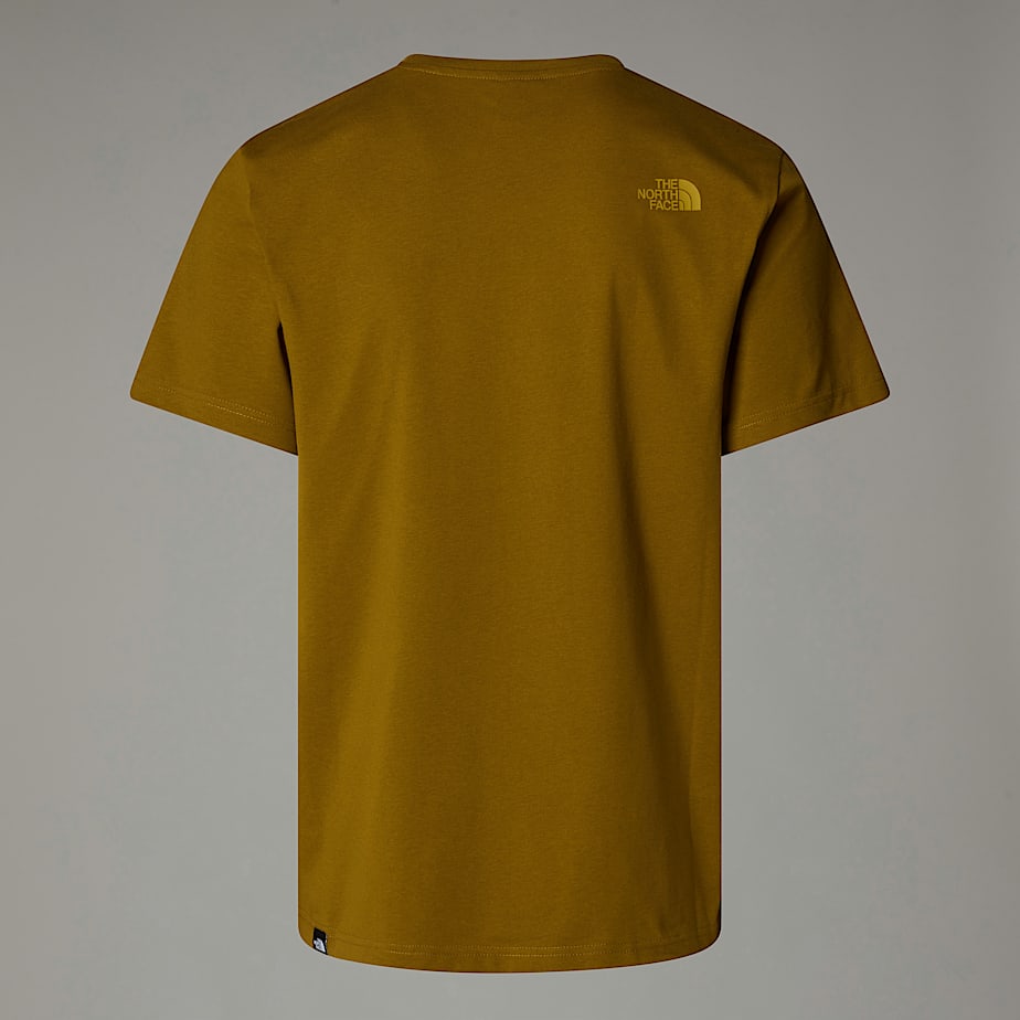 Camiseta The North Face Easy Hombre Verdes | NF0A37J1K
