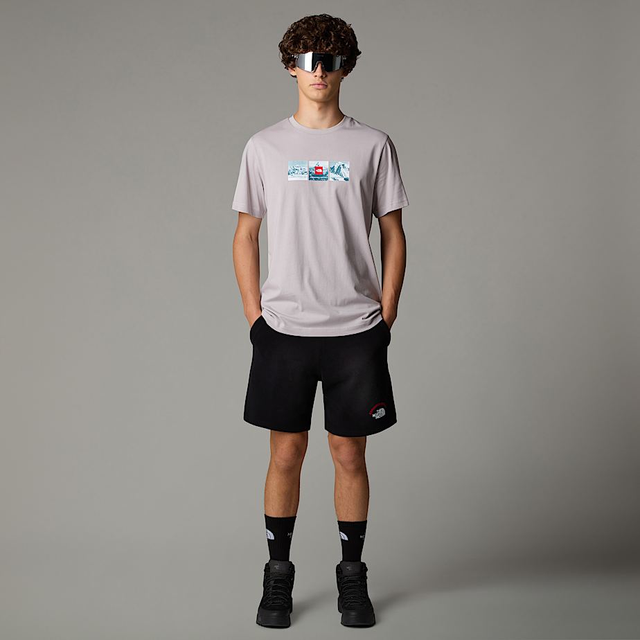 Camiseta The North Face Expedition System Graphic Hombre Grises | NF0A32B6Y