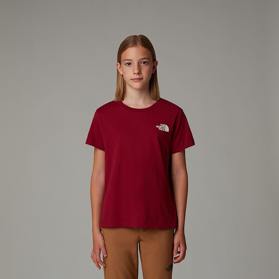 Camiseta The North Face France Redbox Niños Rojos | NF0A07F3L