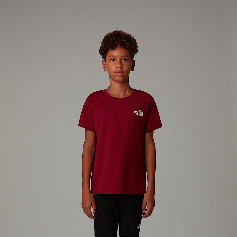 Camiseta The North Face France Redbox Niños Rojos | NF0A07F3L