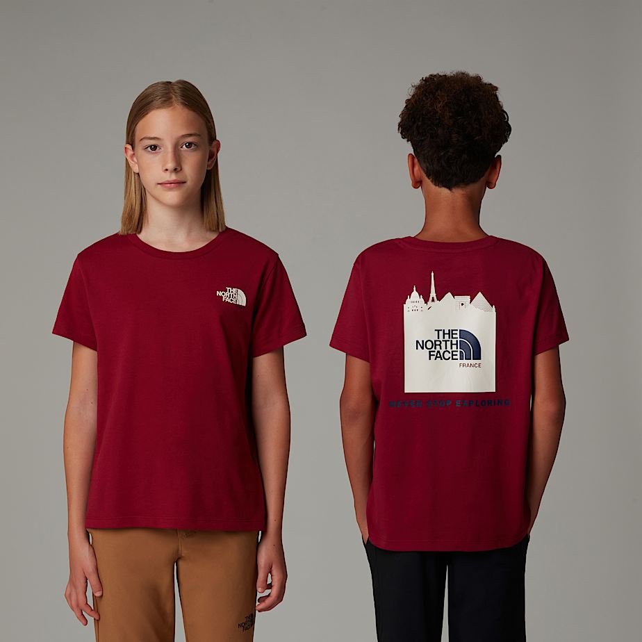 Camiseta The North Face France Redbox Niños Rojos | NF0A07F3L
