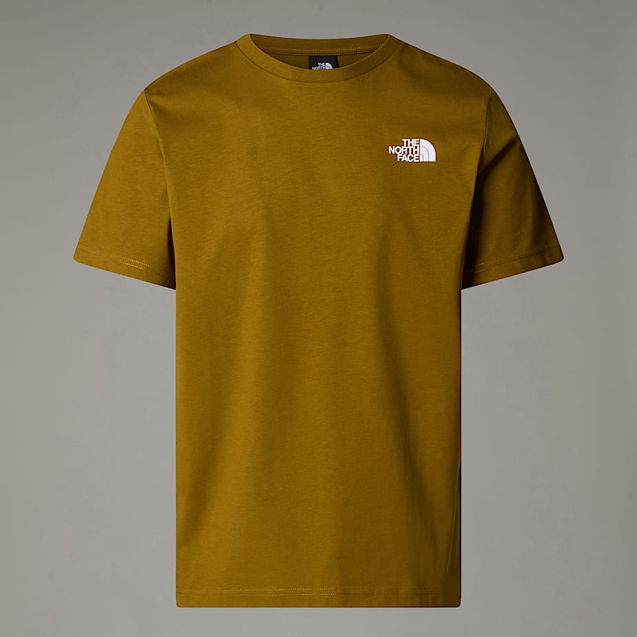 Camiseta The North Face Redbox Hombre Verdes | NF0A24E4R