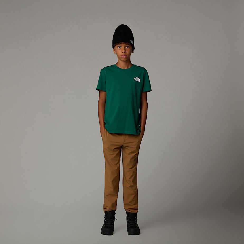 Camiseta The North Face Simple Dome Niños Verdes | NF0A77B1B