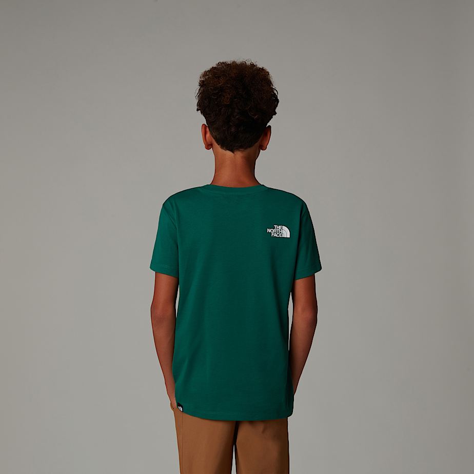 Camiseta The North Face Simple Dome Niños Verdes | NF0A77B1B