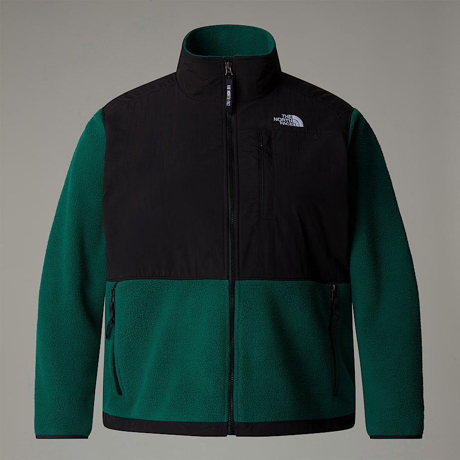 Chamarras The North Face Plus Size Retro Denali Mujer Verdes | NF0A93P5J