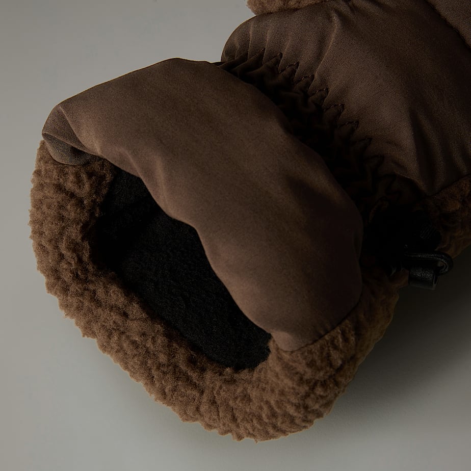 Mitones The North Face Cragmont Fleece Hombre Marrom | NF0A43U4L
